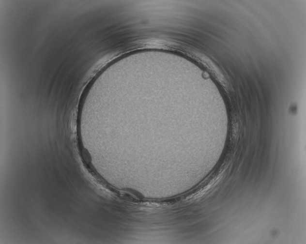 X0000116890938201001191802