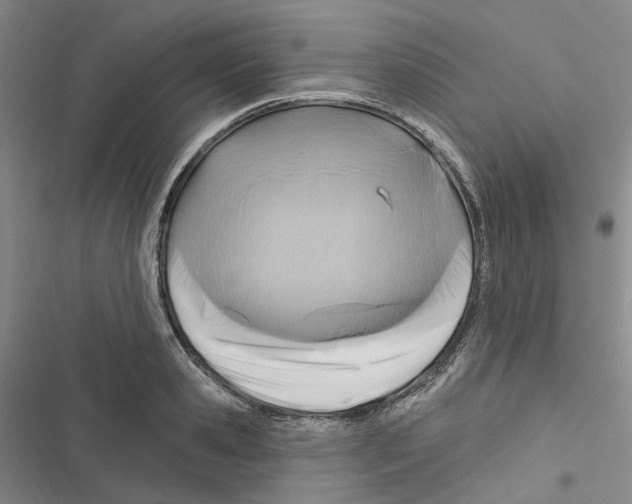 X0000116890941201001191802