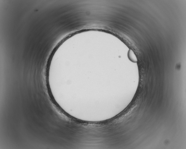 X0000116890942201001191802