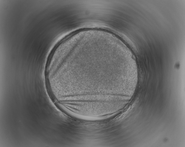 X0000116890943201001191802