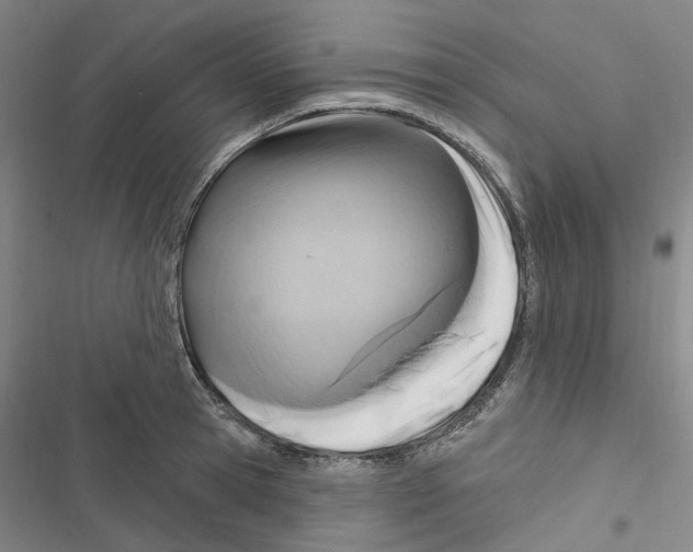 X0000116890945201001191802