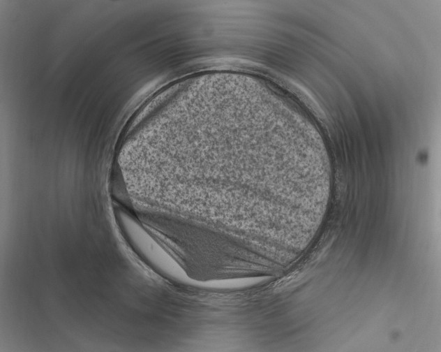 X0000116890946201001191802