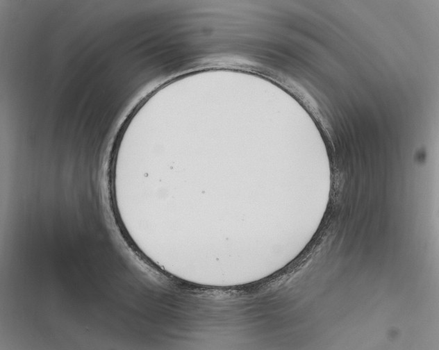 X0000116890947201001191802