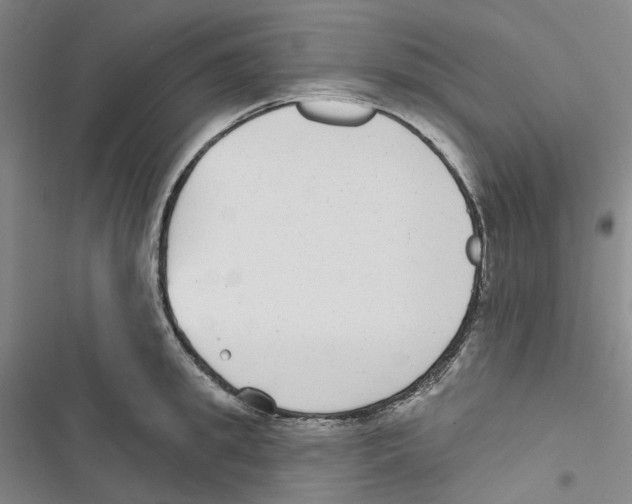 X0000116890949201001191802