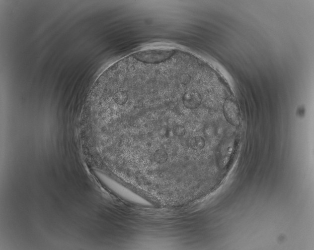 X0000116890953201001191802