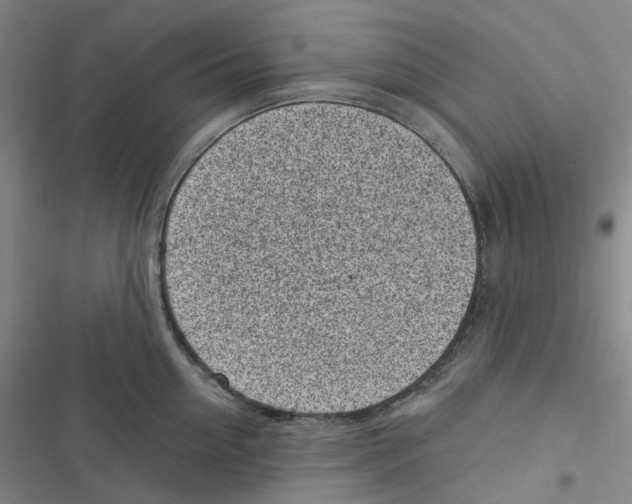 X0000116890954201001191802