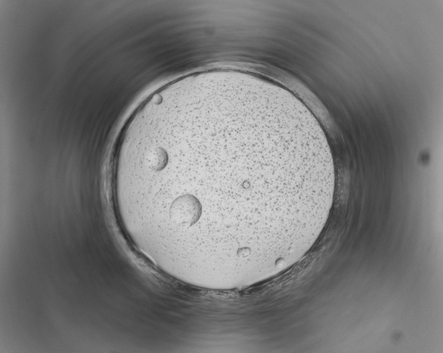 X0000116890955201001191803