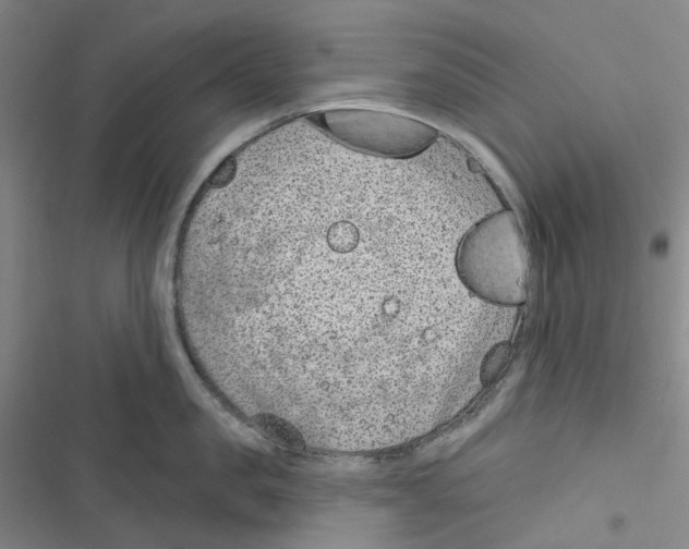 X0000116890957201001191803