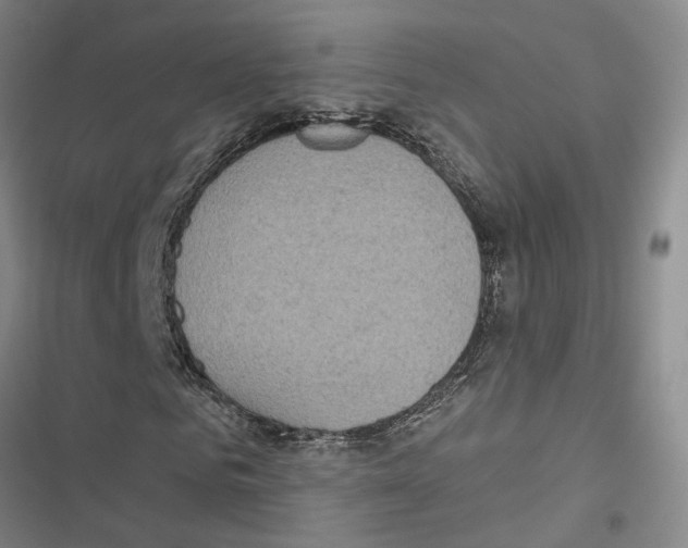 X0000116890961201001191802