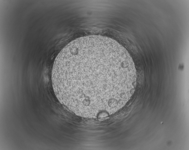 X0000116890962201001191802