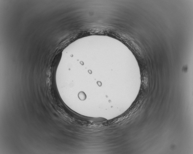 X0000116890964201001191802