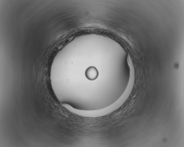 X0000116890965201001191802