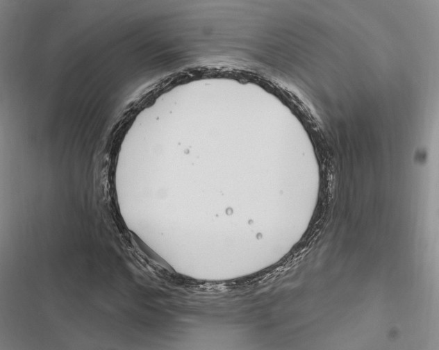 X0000116890968201001191802