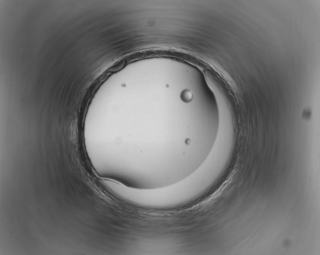 X0000116890969201001191802