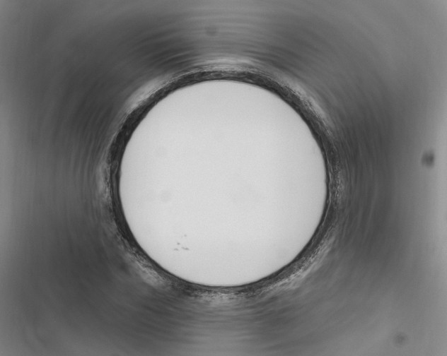 X0000116890970201001191802