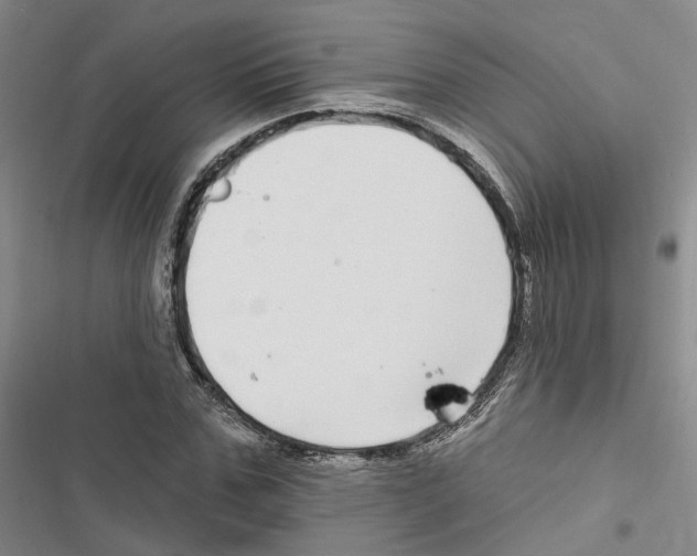 X0000116890971201001191802