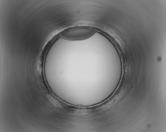 X0000116890973201001191802