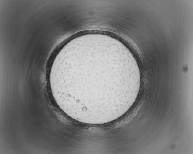 X0000116890974201001191802