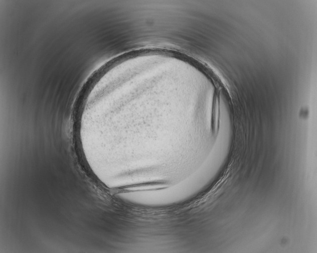 X0000116890975201001191802