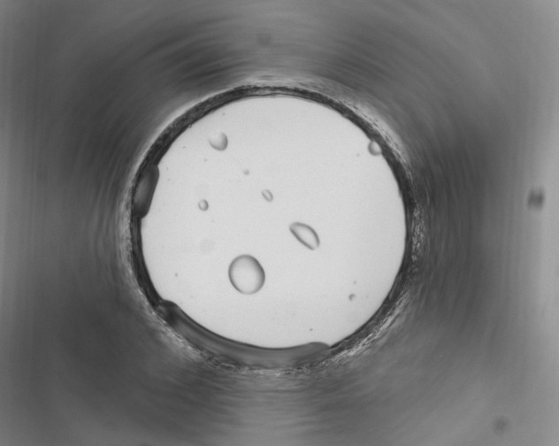 X0000116890976201001191802