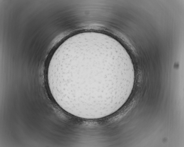 X0000116890978201001191802