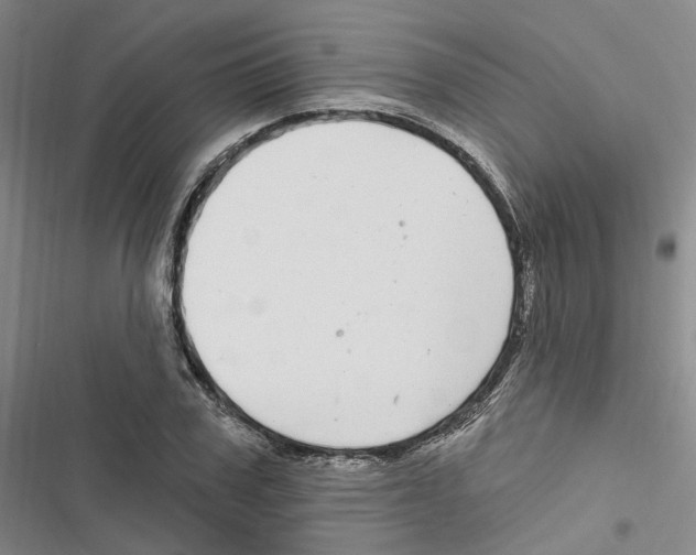 X0000116890979201001191802