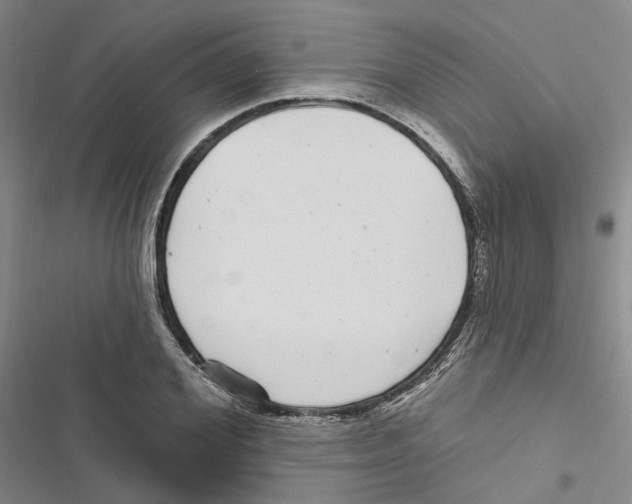 X0000116890980201001191802