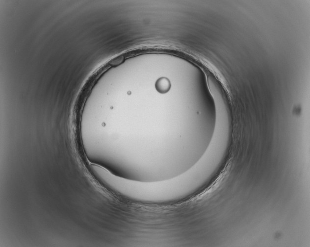 X0000116890981201001191802