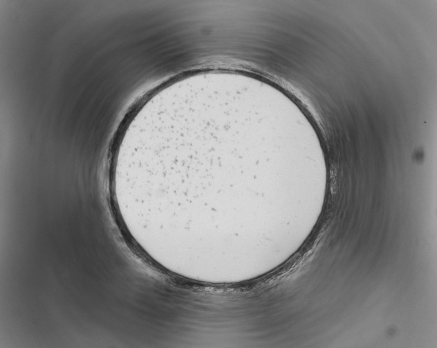 X0000116890987201001191802