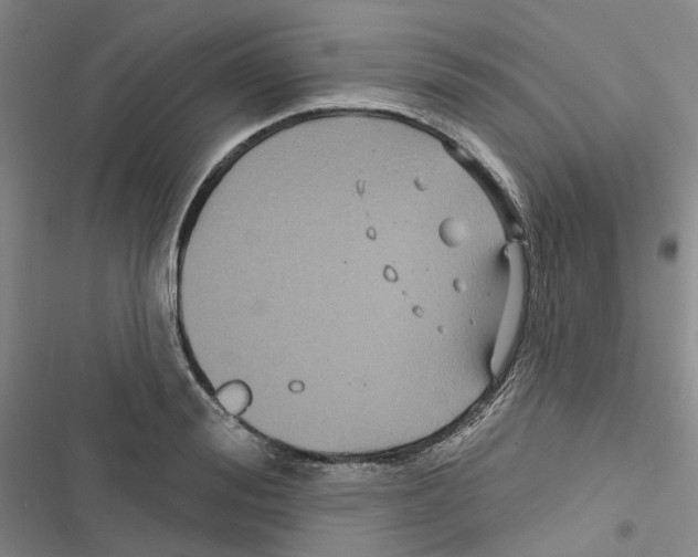 X0000116890988201001191802