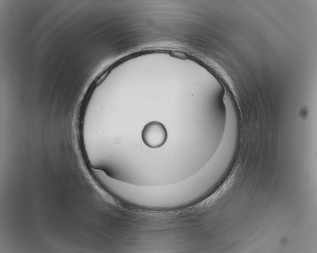 X0000116890989201001191802