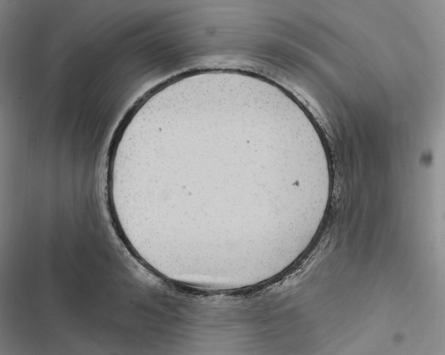 X0000116890992201001191802