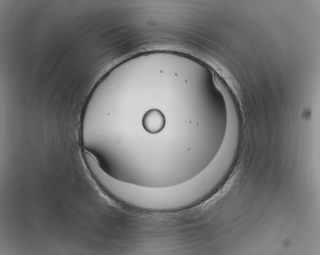 X0000116890993201001191801