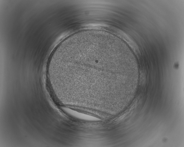 X0000116890994201001191801