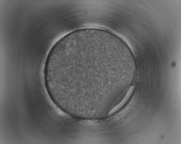 X0000116890995201001191801