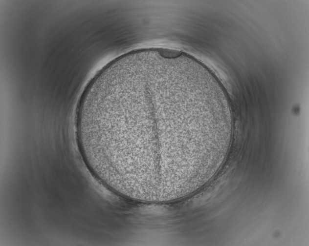 X0000116890998201001191801