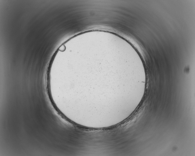 X0000116890999201001191801