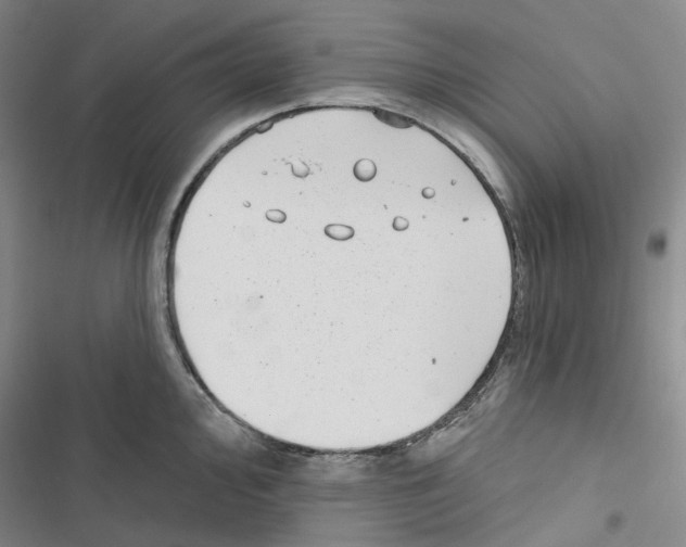 X0000116891000201001191801