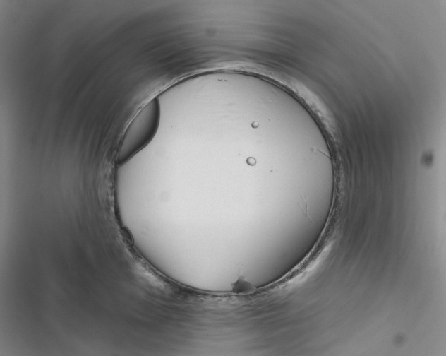 X0000116891001201001191801