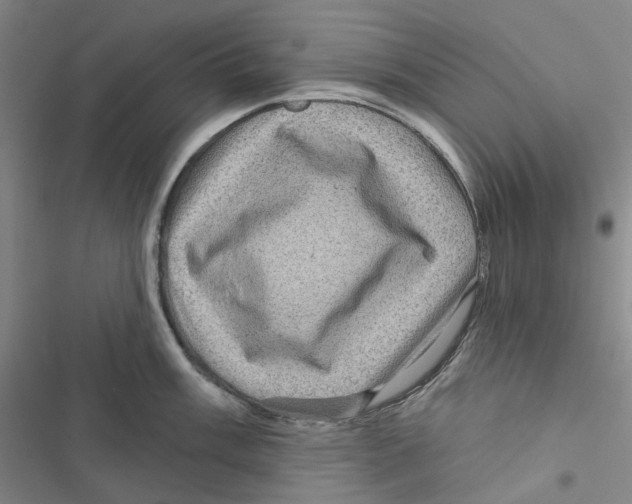 X0000116891003201001191801