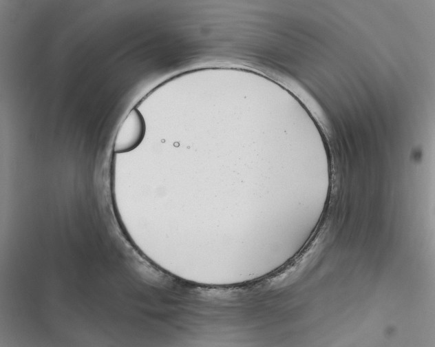 X0000116891004201001191801