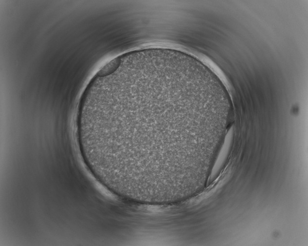 X0000116891005201001191801