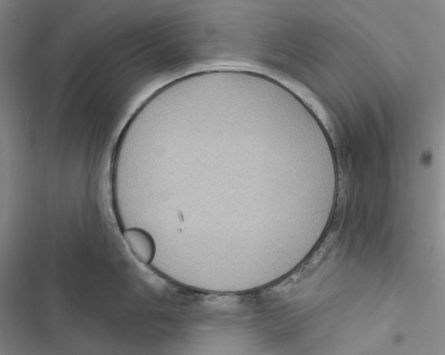 X0000116891006201001191801