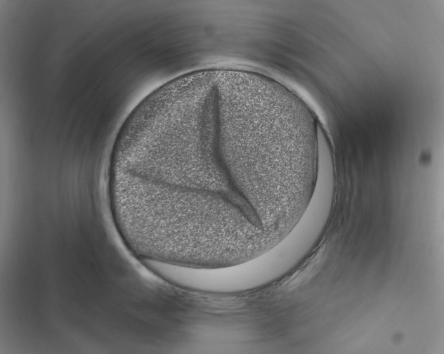 X0000116891007201001191801