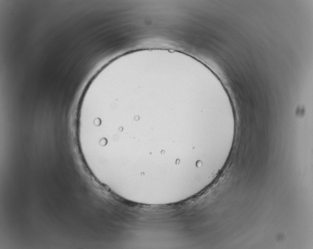 X0000116891008201001191801