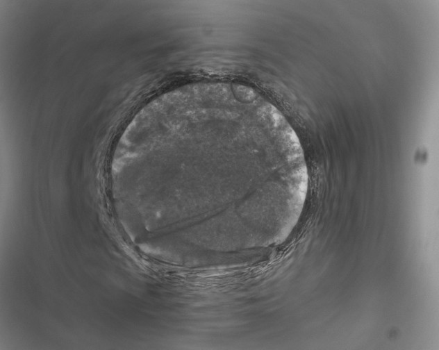 X0000116891009201001191801