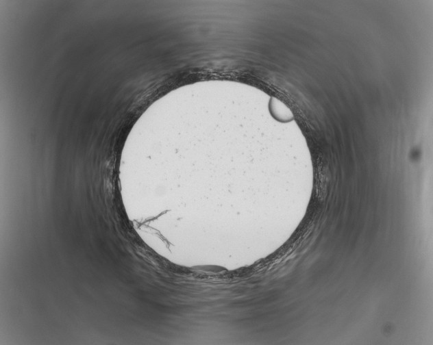 X0000116891010201001191801