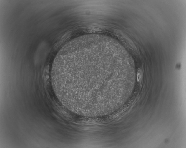 X0000116891011201001191801