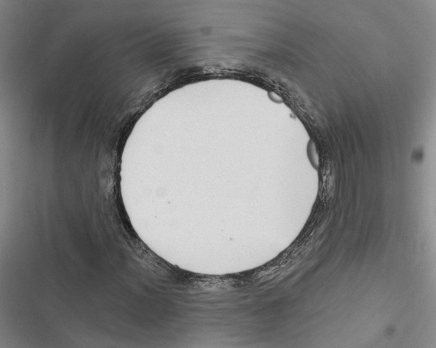 X0000116891012201001191801