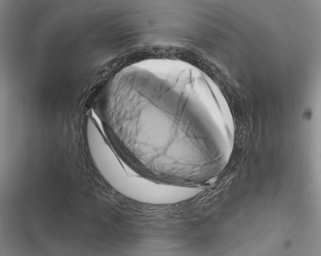 X0000116891013201001191801